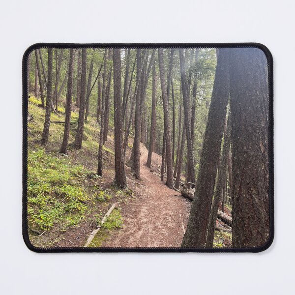 Item preview, Forest Sun Beams designed and sold by LifeLearner.