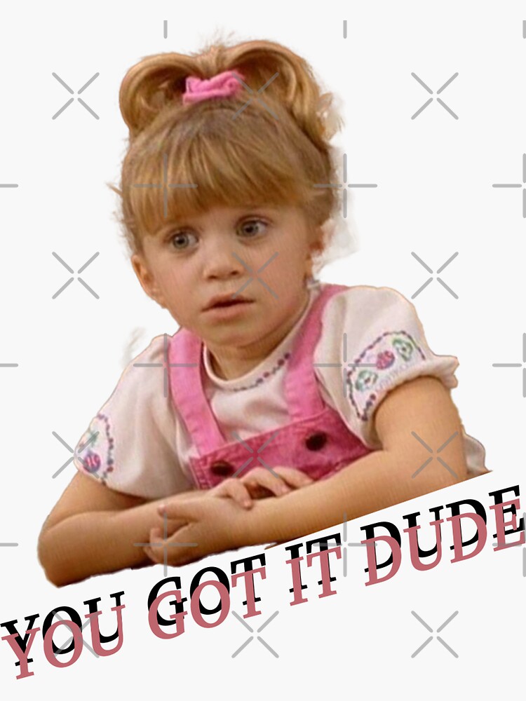 you-got-it-dude-sticker-for-sale-by-harrisondesign-redbubble