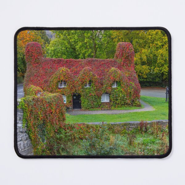 Item preview, Llanrwst Tea Rooms in Autumn designed and sold by Paul Madden.