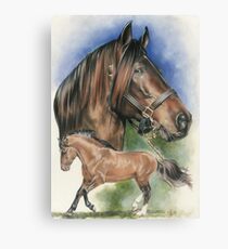 Paso Fino Canvas Print
