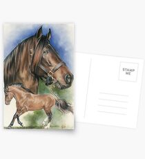 Paso Fino Postcards
