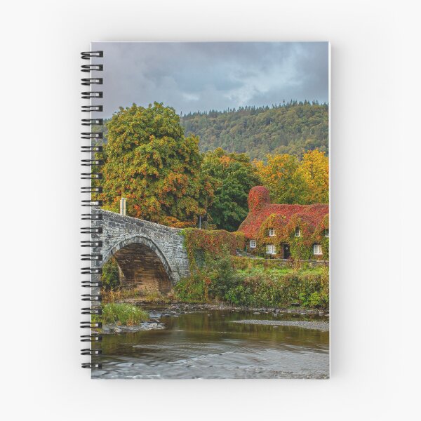 Item preview, Llanrwst Bridge and Tea Rooms designed and sold by Paul Madden.