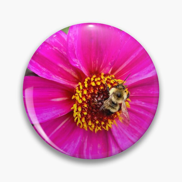 Item preview, Mr. Bumble designed and sold by LifeLearner.