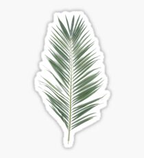 Palmblatt Palm Sticker