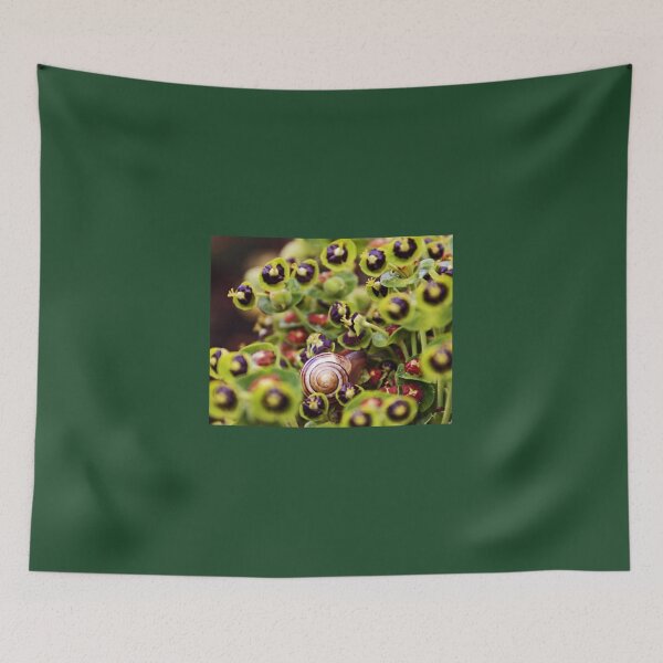 Item preview, spot the snail... designed and sold by bared.