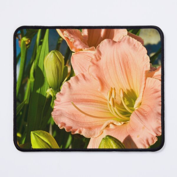 Item preview, Day Lily Close-up designed and sold by rmyerphoto.