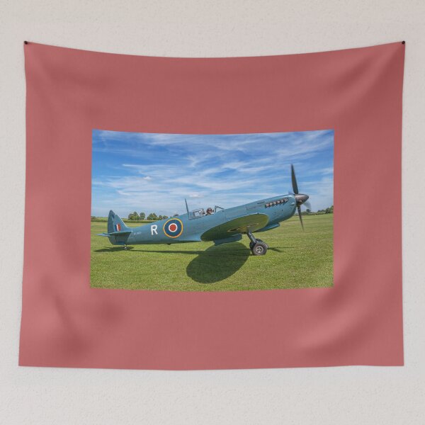 Item preview, Spitfire PR.XI PL965/R G-MKXI designed and sold by Colin Smedley.