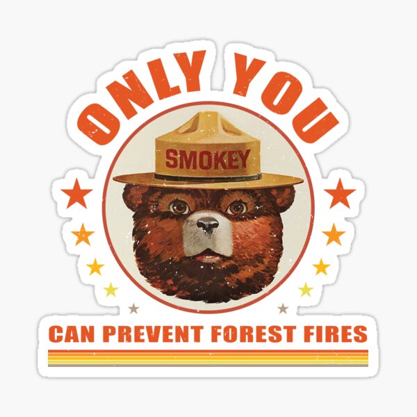 Smokey Bear Bumper Sticker - 5x4 Inch Forest Fire Prevention Car Decal, Made In USA