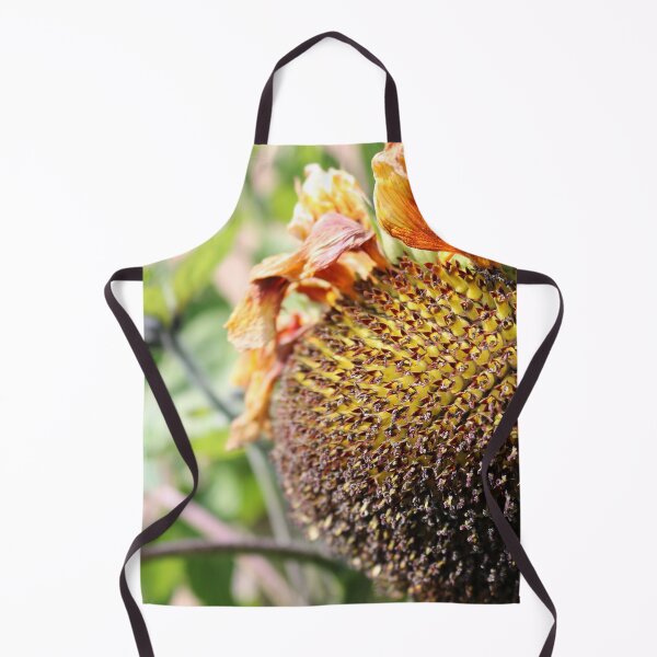 Item preview, Late Cycle Sunflower Head designed and sold by Moti Black.