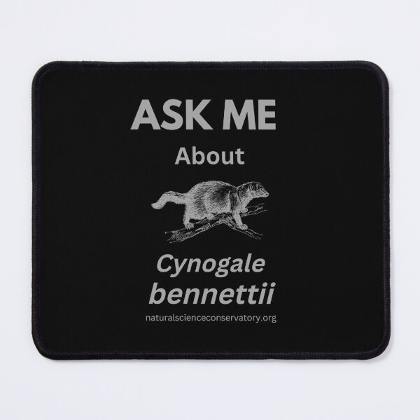 Item preview, Ask Me About Cynogale bennettii (Otter Civet) designed and sold by Discovered.