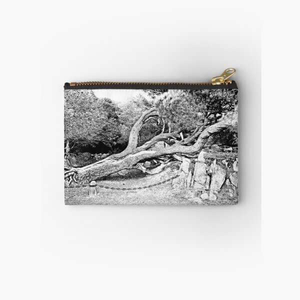 Item preview, Island Caprera: pine tree designed and sold by Giuseppe Cocco.