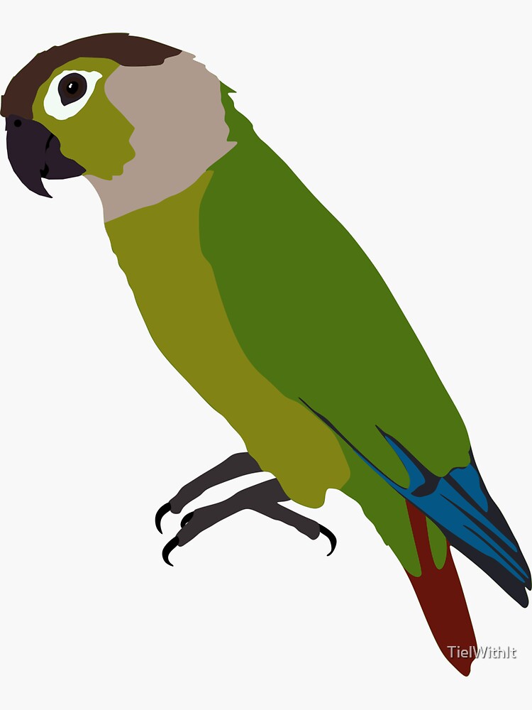 "Green Cheek Conure Vector Illustration" Sticker for Sale by TielWithIt