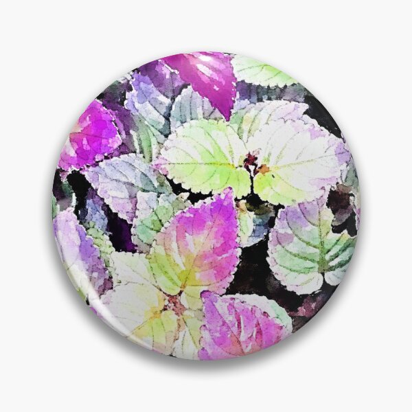 Item preview, Hemigraphis Plants  designed and sold by Floral-Art.
