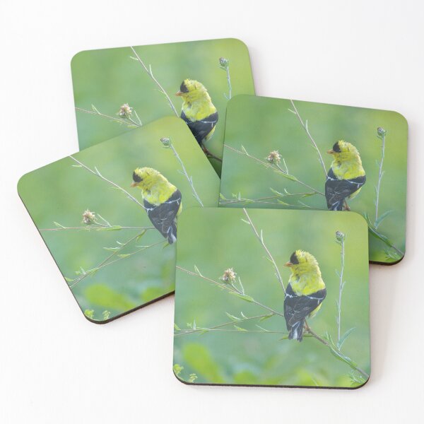 Item preview, Gold Finch on Stick designed and sold by rmyerphoto.