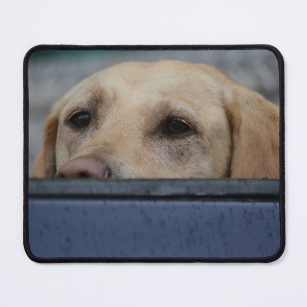 Item preview, Brown eyes Peeking over designed and sold by MoreGoodArt.