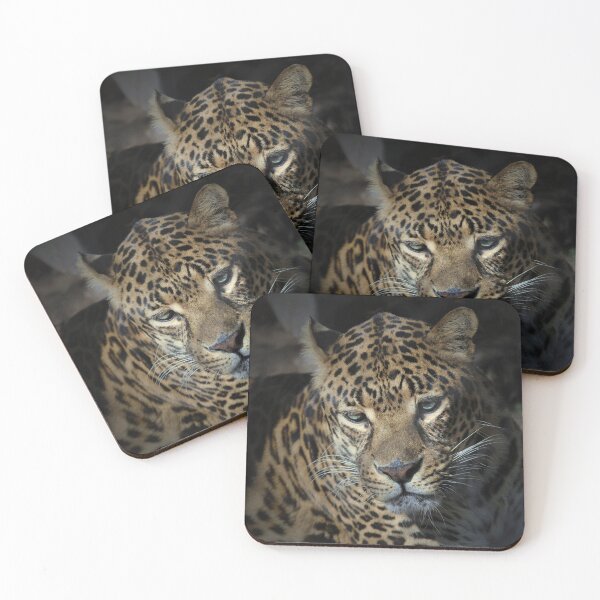 Item preview, Colse-up Jaguar Panthera designed and sold by Savannah Gibbs.
