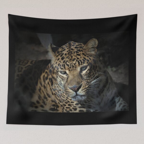 Item preview, Colse-up Jaguar Panthera designed and sold by Savannah Gibbs.