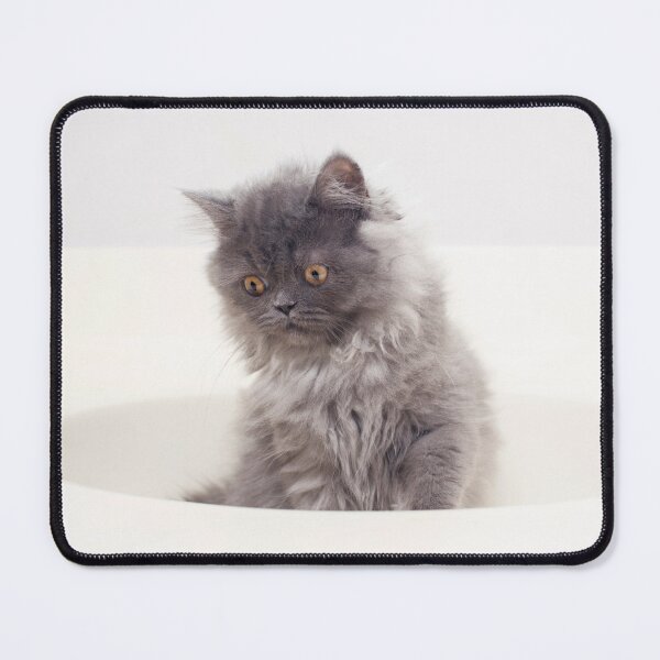 Item preview, Kitten in a sink designed and sold by AmbientEye.