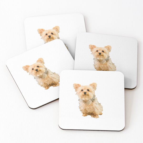 Item preview, Copy of Lukas Custom yorkie designed and sold by Shannongreenie.