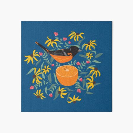 Baltimore Oriole Art Board Print