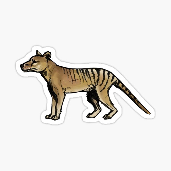 Thylacine Sticker