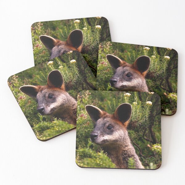 Item preview, Curious Kangaroo designed and sold by jwwallace.