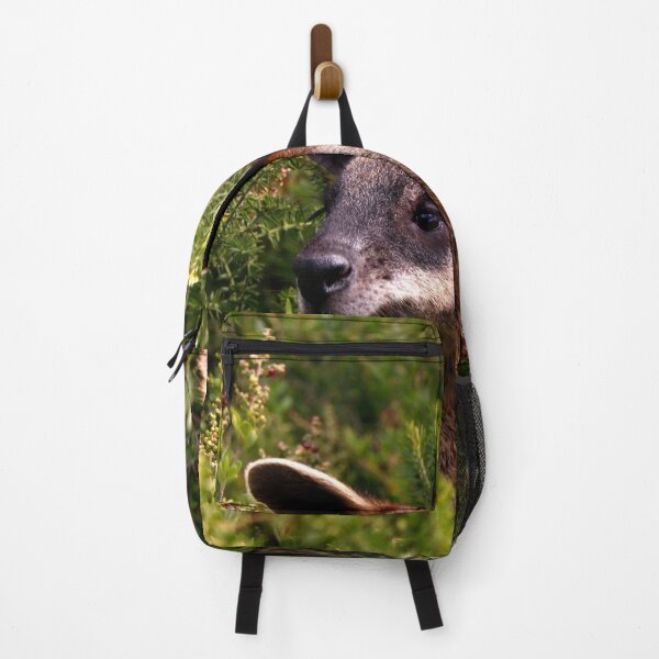 Item preview, Curious Kangaroo designed and sold by jwwallace.