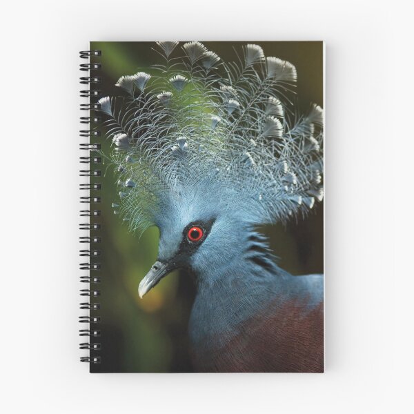 Item preview, Victoria Crowned Pigeon designed and sold by Dominika Aniola.