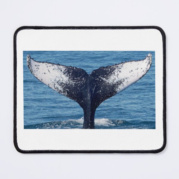 Item preview, Butterfly Humpback Whale Tail designed and sold by BeingTherePix.
