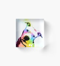 Pit bull | Rainbow Series | Pop Art Acrylic Block