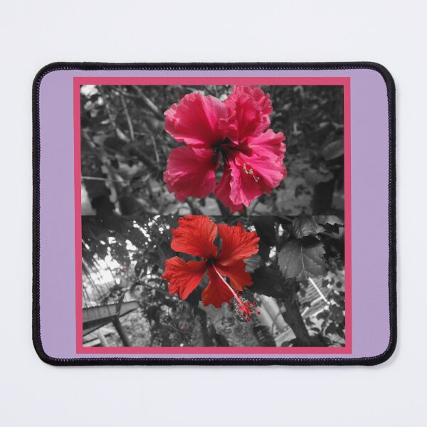 Item preview, Beautiful Hibiscus  designed and sold by starfishstuff.