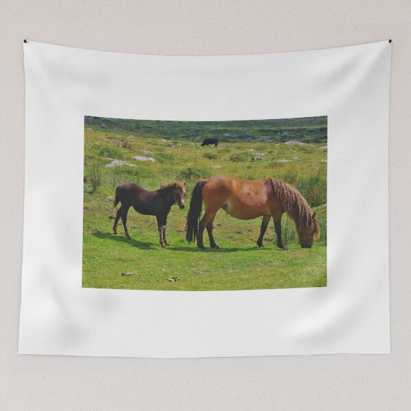 Item preview, Ponies Dartmoor (2) designed and sold by lezvee.