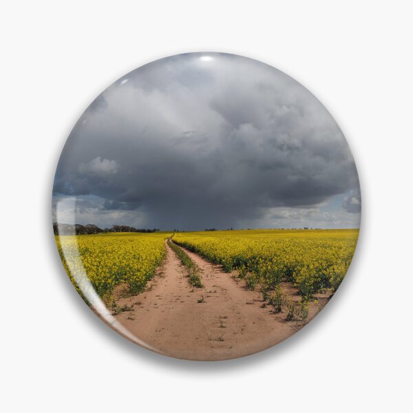 Item preview, Canola designed and sold by John Dekker.