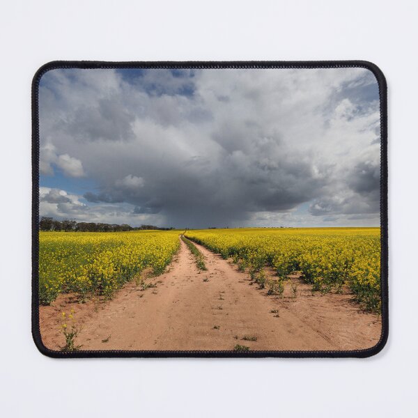 Item preview, Canola designed and sold by John Dekker.