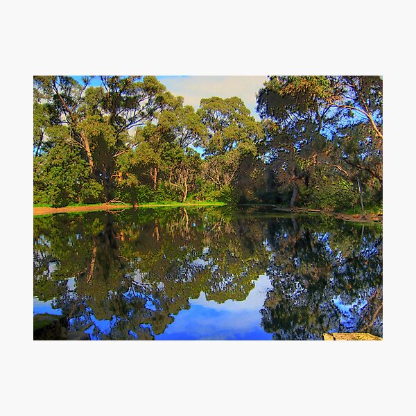 The Pond On a winters day Photographic Print