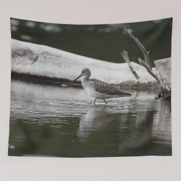 Item preview, Greater Yellowleg designed and sold by nancyjcreates.