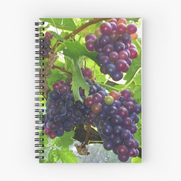 Item preview, Cultivo de uvas designed and sold by lezvee.