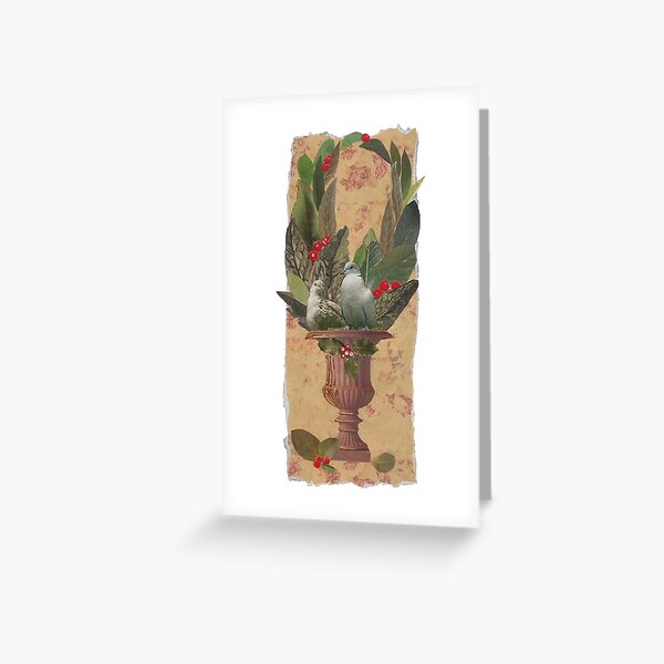 Doves Valentine Greeting Card