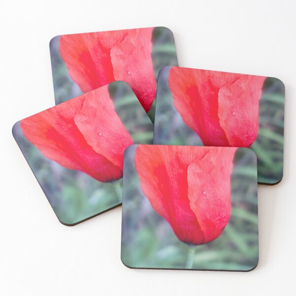 Item preview, Fragile Extravagance #2 - Poppy Flower designed and sold by AHA-flowers.