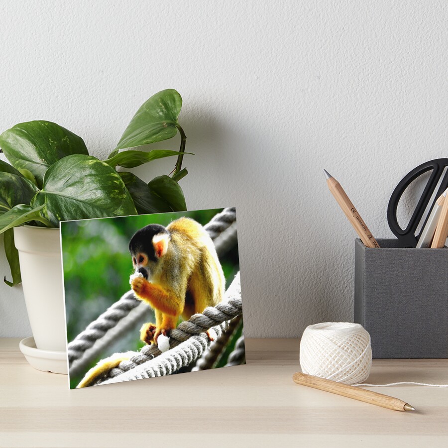 Item preview, Art Board Print designed and sold by Barnbk02.