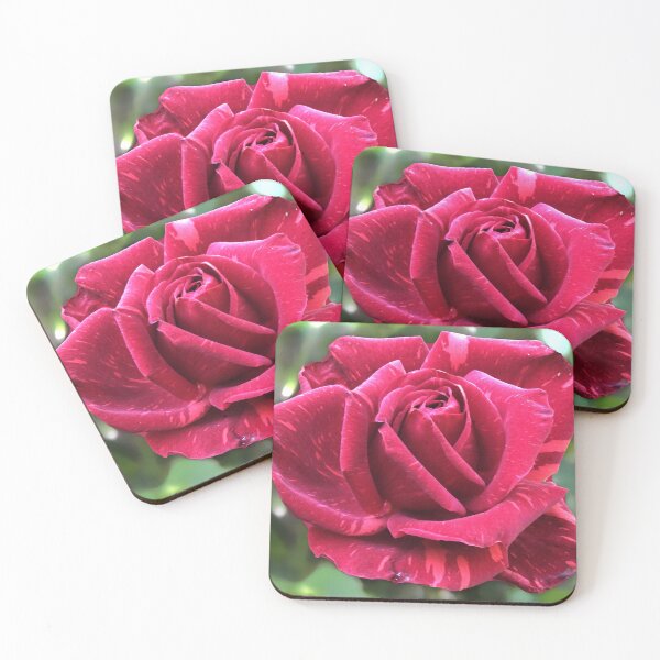 Item preview, Red rose designed and sold by indiafrankk.