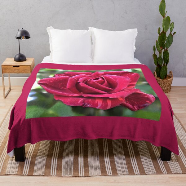 Item preview, Red rose designed and sold by indiafrankk.