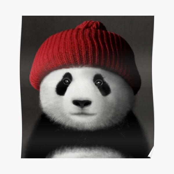 Panda Bear Portrait Posters Redbubble