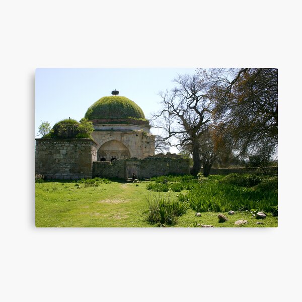 Nature takes over again Canvas Print