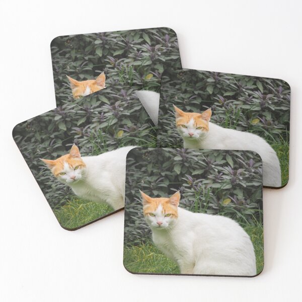 Item preview, Sourpuss designed and sold by JEZ22.