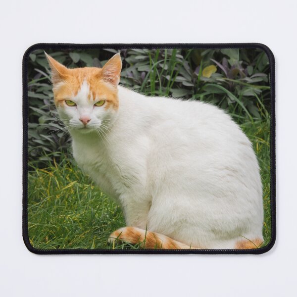 Item preview, Sourpuss designed and sold by JEZ22.