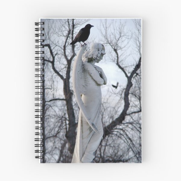Item preview, Angel And Crow designed and sold by gothicrow.