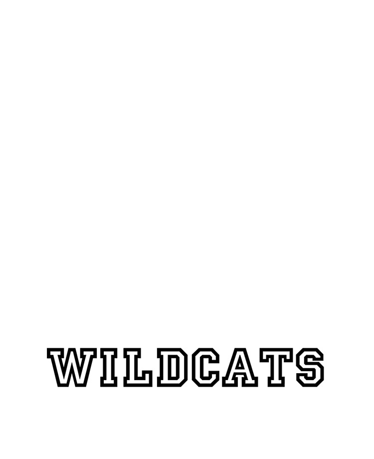 Wildcats (High School Musical) Essential T-Shirt for Sale by Karen Cho