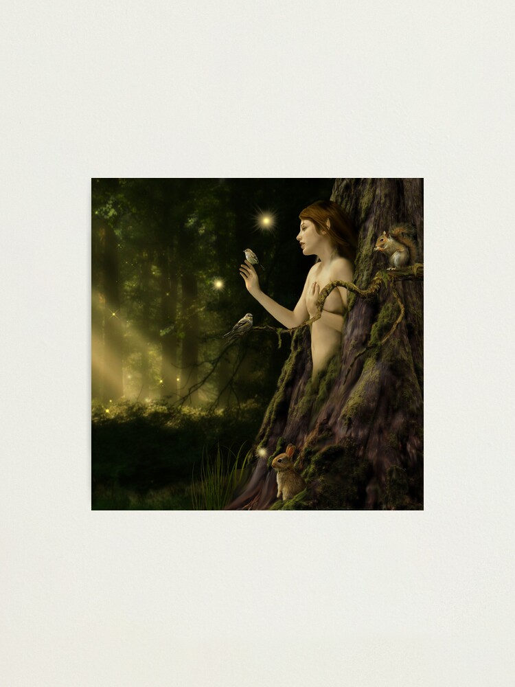 Alternate view of Hamadryad Photographic Print