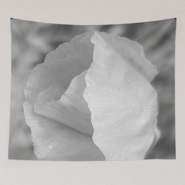 Item preview, Fragile Unfolding #4 - Poppy Flower designed and sold by AHA-flowers.